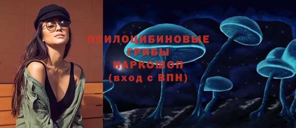 прущие грибы Алексин