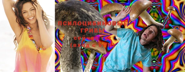 а пвп мука Алзамай